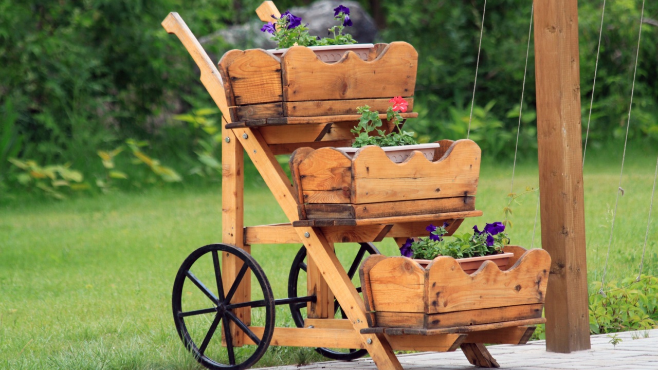 Flowers in tubs on wheels. Park decoration.