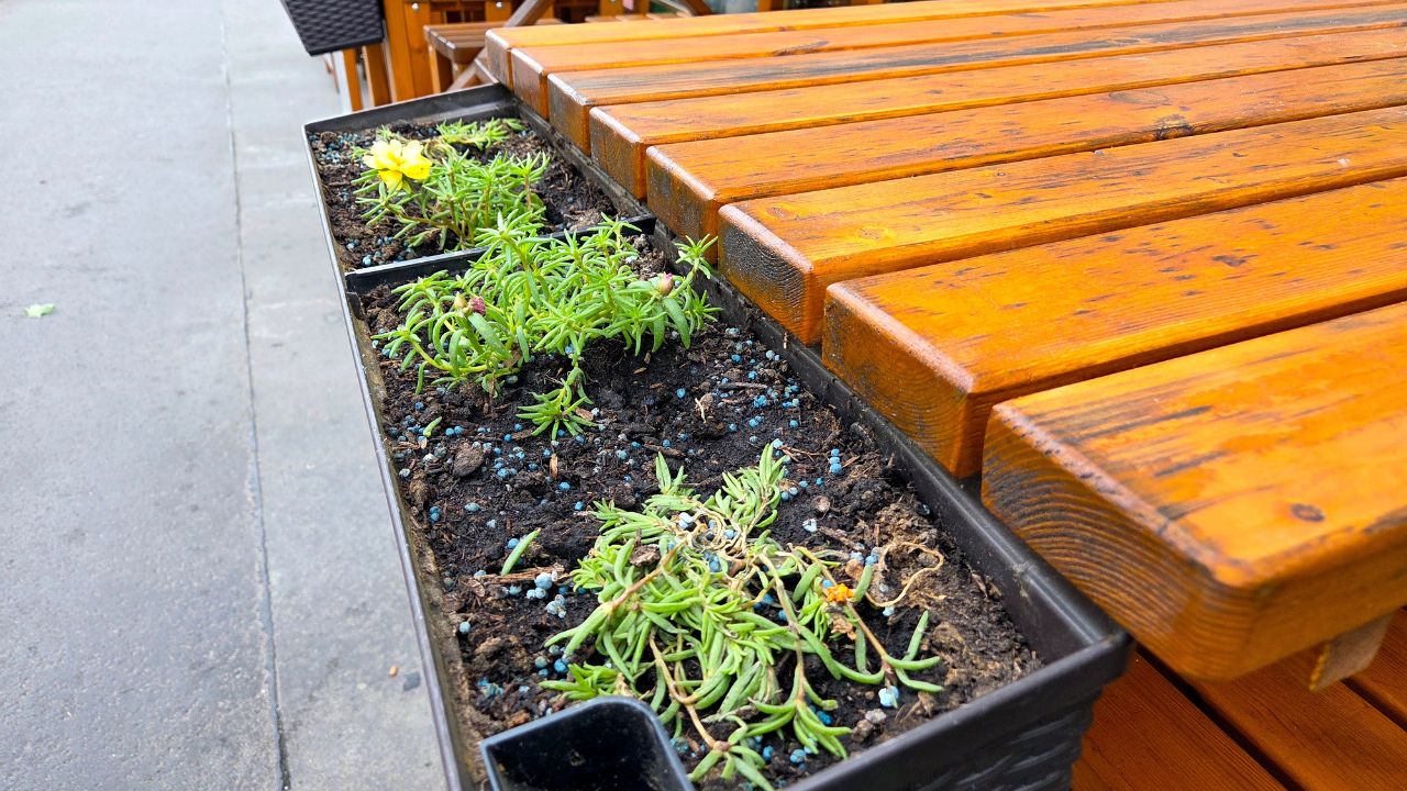 Wooden outdoor seating with integrated planter boxes lines a city sidewalk, emphasizing urban greenery and ambiance for cafe s and eateries. the pots contain various small plants