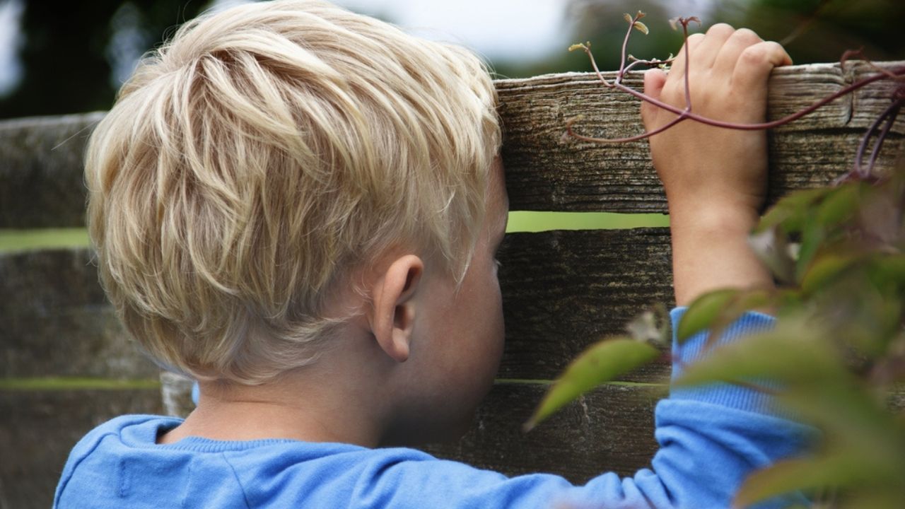Young boy looking through a fence