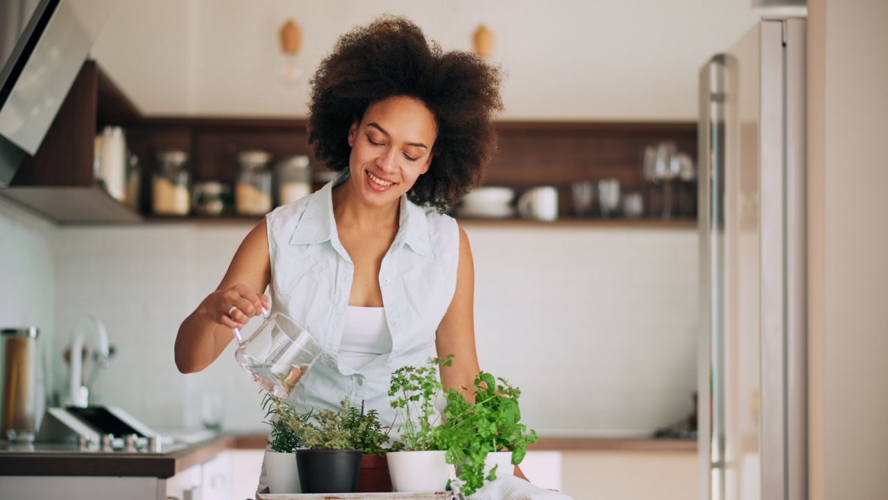 Beautiful mixed race woman gardening fresh herbs at her kitchen.