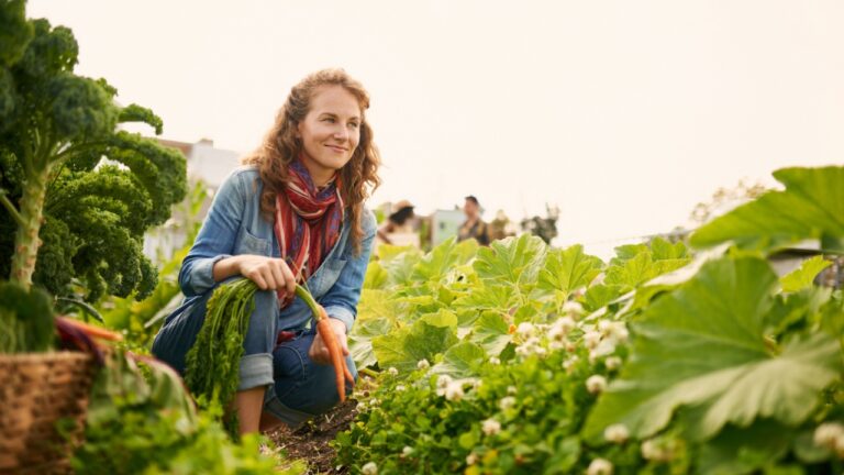 Friendly woman harvesting fresh vegetables