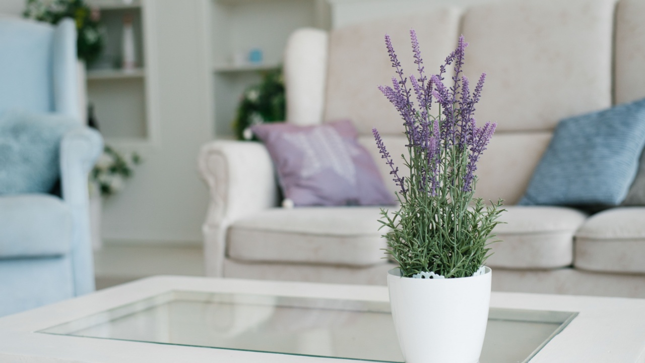White vase with lavender flowers in the interior decor of the living room in light colors with blue color