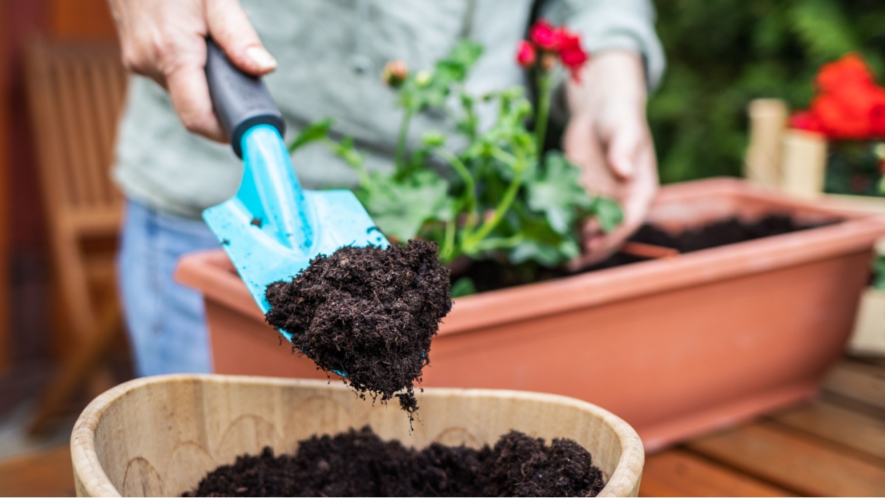 Woman putting soil or compost into flowerpot by shovel. Florist planting flowers. Gardening at spring