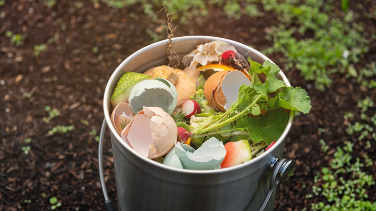 Close Up of Kitchen Counter Compost Bin with Food Scraps