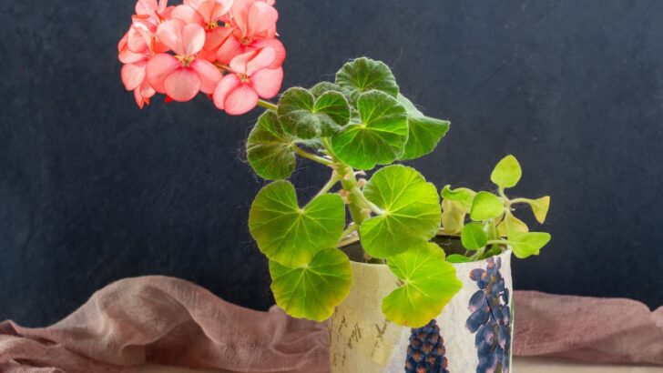 12 Clever Ways to Repurpose Items in Your Home