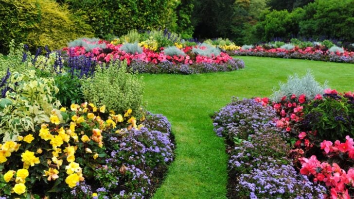 16 Types of Yard Edging That Keep Grass Out of Flower Beds