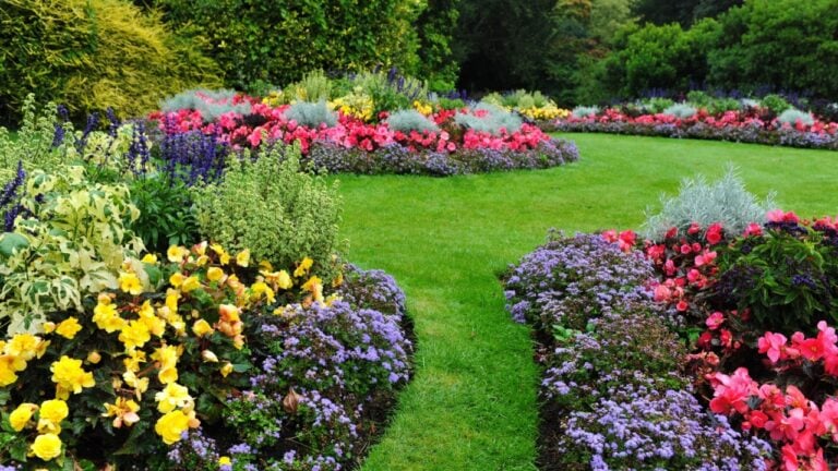 Grass Lawn and Flowers in a Garden