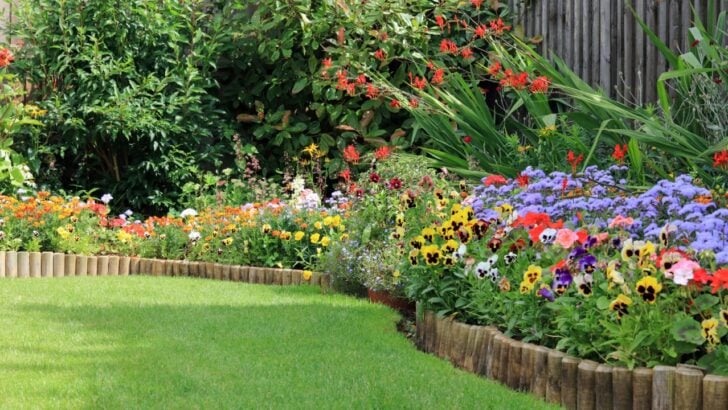 12 Flowers That Thrive Even in Small Spaces