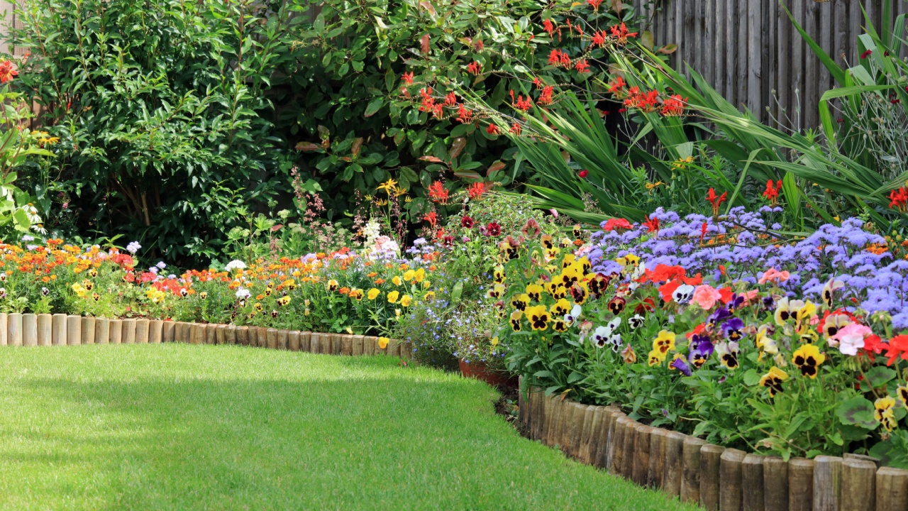 Vibrant Colourful Summer Flowers In A Small Garden.