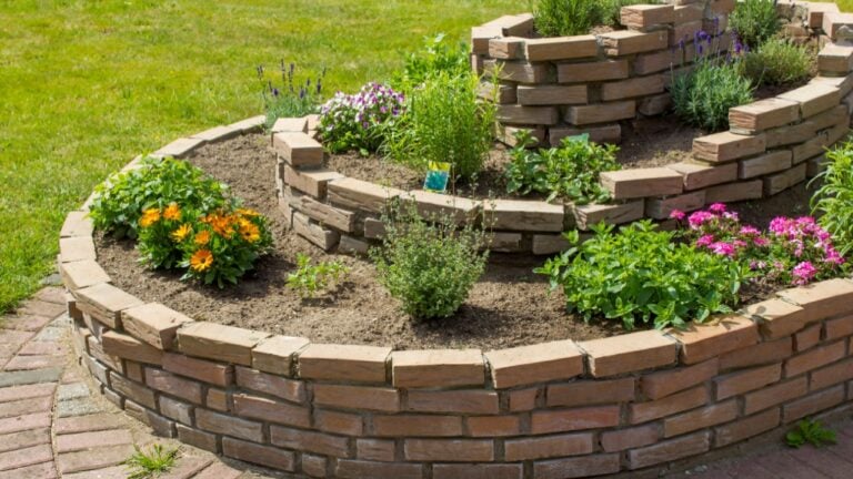 herb spiral in the garden with herbs and flowers