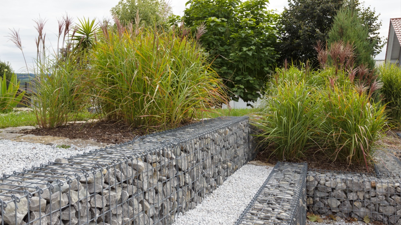 Gabions in the garden