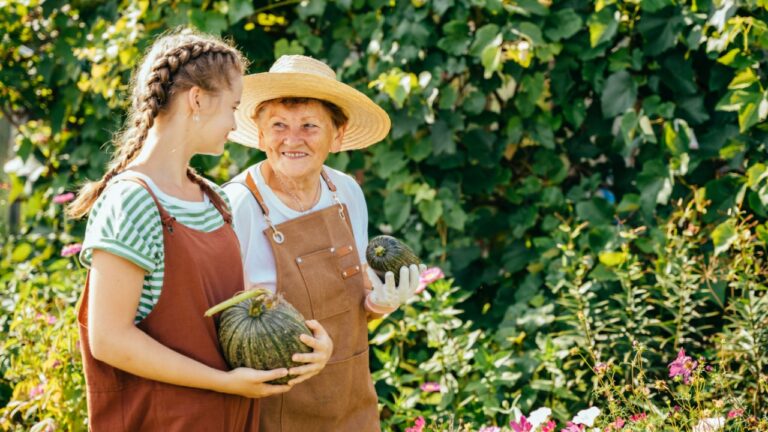 Senior woman and granddaughter picking zucchini vegetable on farm.
