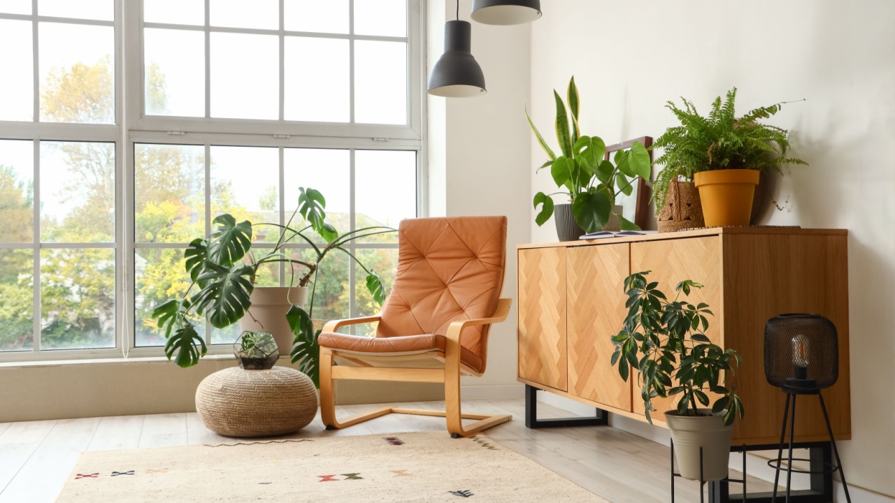 Interior of living room with green plants, commode and armchair