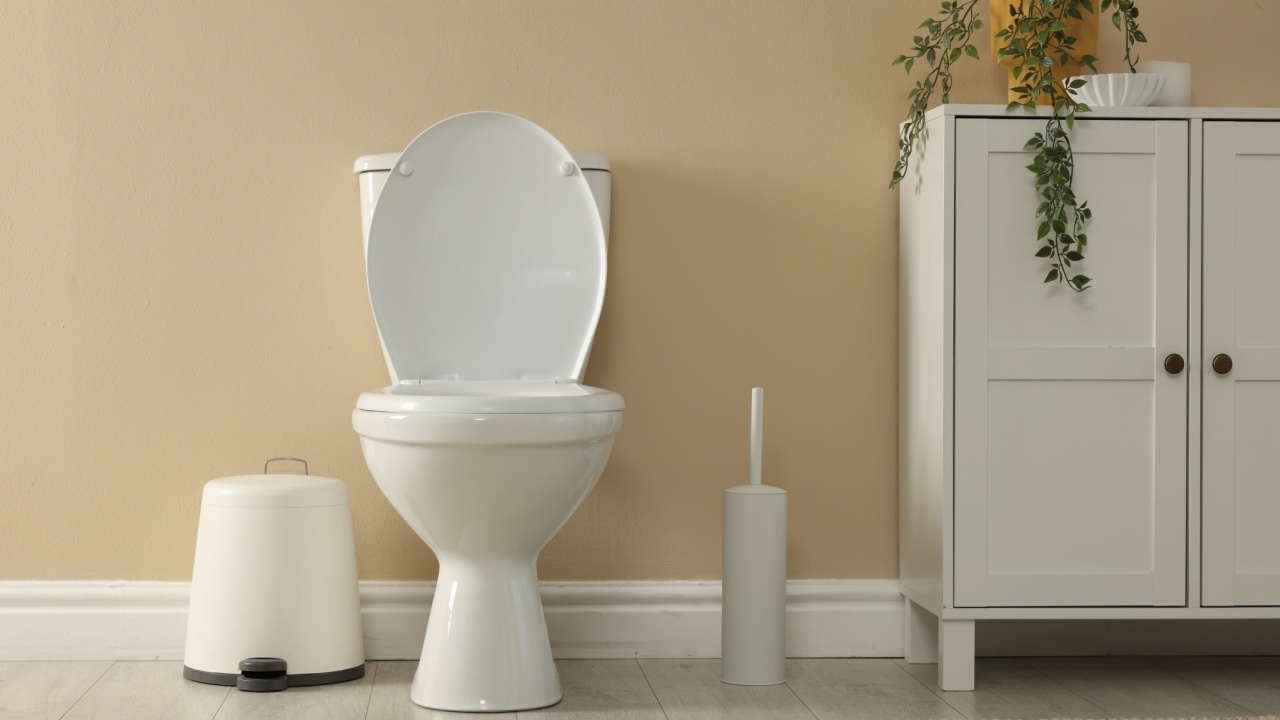 Toilet bowl, brush and trash bin near beige wall in restroom