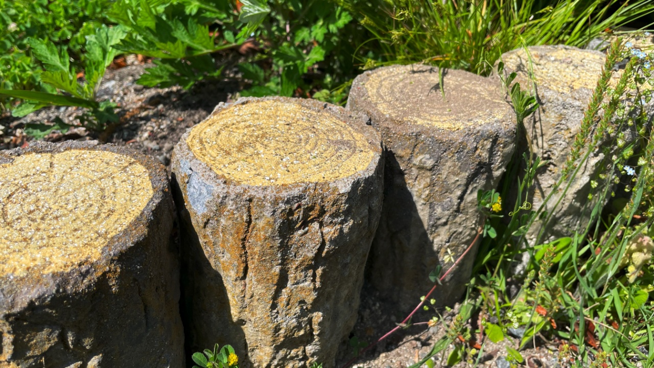 A close-up of rustic garden edging made from log-style wood, surrounded by natural plants and grass in full sunlight.