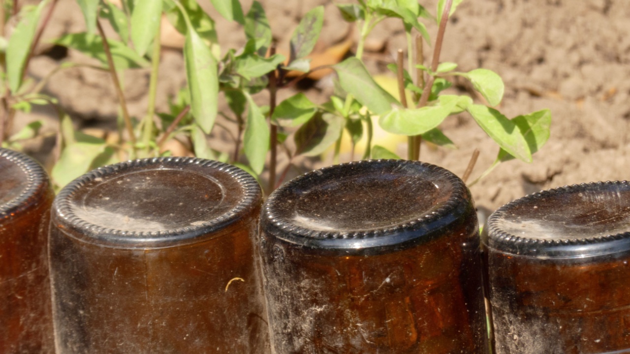 Upcycled glass bottles creating a unique garden border.