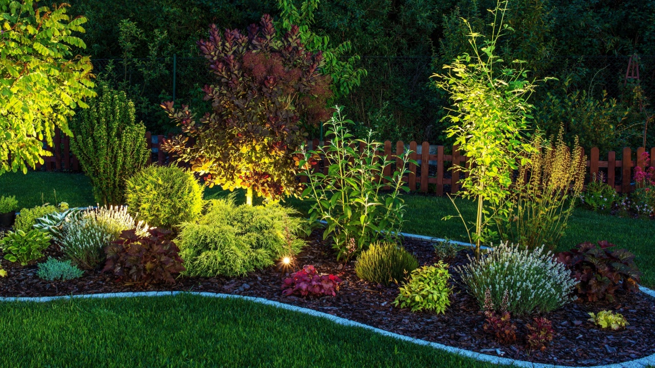 Illuminated Garden by LED Lighting. Backyard Garden at Night Closeup Photo.