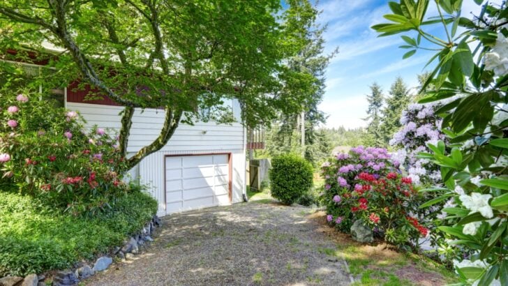 10 Simple Ways to Get Weeds Out of Crakin the Driveway