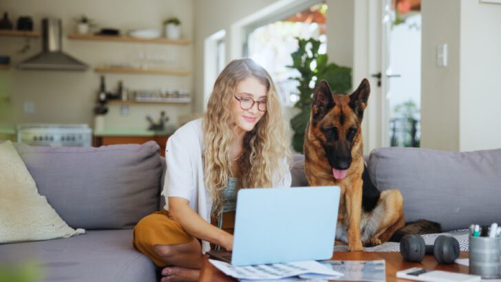 Colorado Tops Nation in Veterinary Searches &mdash; What It Means for Pet Owners and Homebuyers