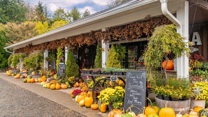 A Guide to Fall Squash (and the Best Ways to Cook Each One)