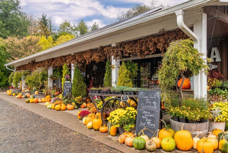 A Guide to Fall Squash (and the Best Ways to Cook Each One)