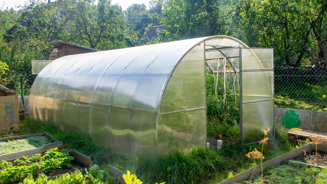 Greenhouse wall made of polycarbonate plastic close up