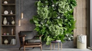 Green plant wall background with leather armchair on empty concrete wall.