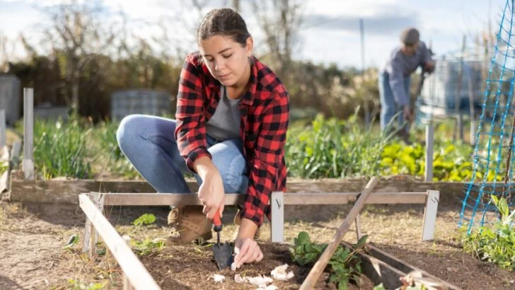 How to Plant, Grow, and Harvest Tasty Garlic