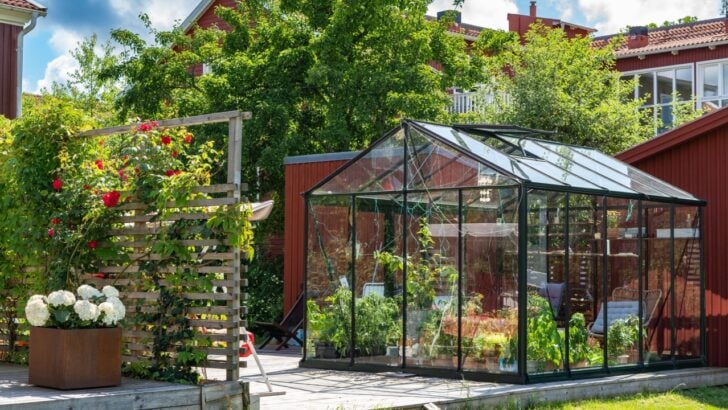 Winterize Your Garden! 10 Tips to Save Your Plants, Time and Money