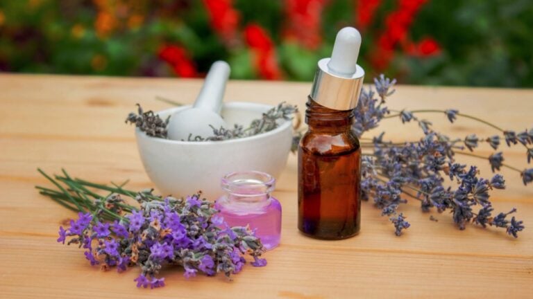 Glass bottle of lavender essential oil on a wooden background