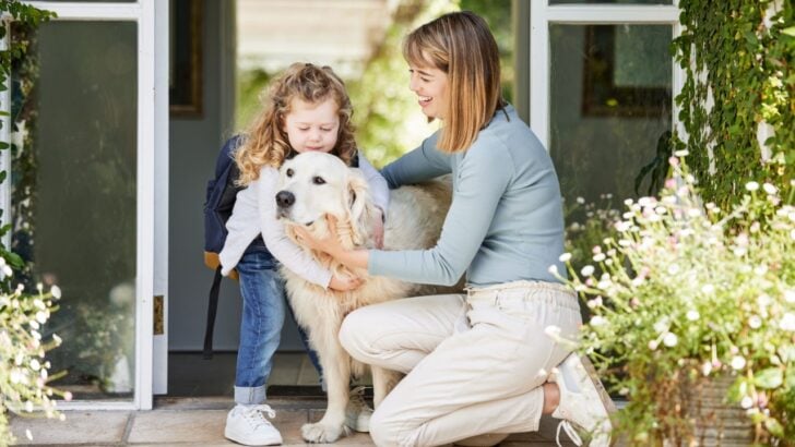 22 Lovely Outdoor Plants Safe for Cats and Dogs