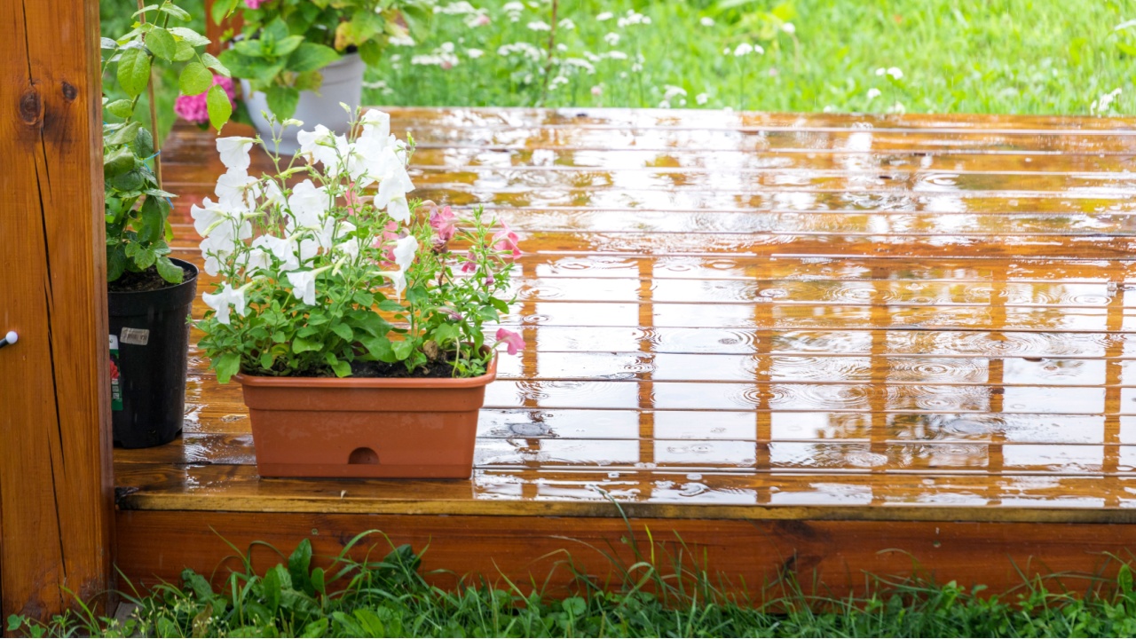 A blue barrel for collecting rainwater. Collecting rainwater in a plastic container. Collecting rainwater for watering the garden. Ecological collection of water for crop irrigation.