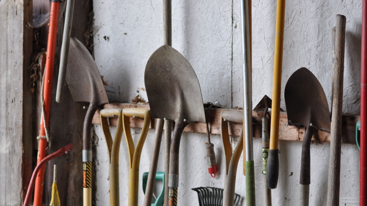 Set of garden tools in a shed leaning up against the wall shed garage organization shovels and rakes for a garden or form