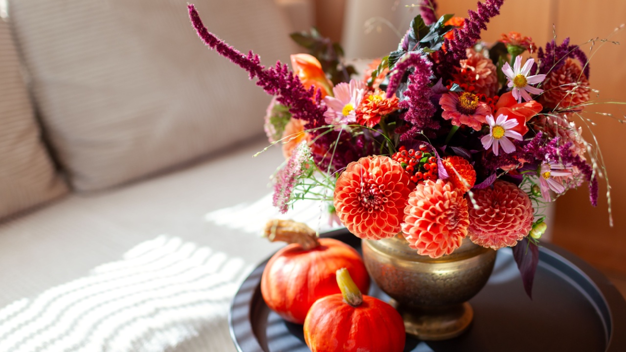 Fall interior decor. Close up of autumn flower arrangement made in brass vase put on coffee table by pumpkins. Bouquet with orange dahlias, burgundy amaranth in living room