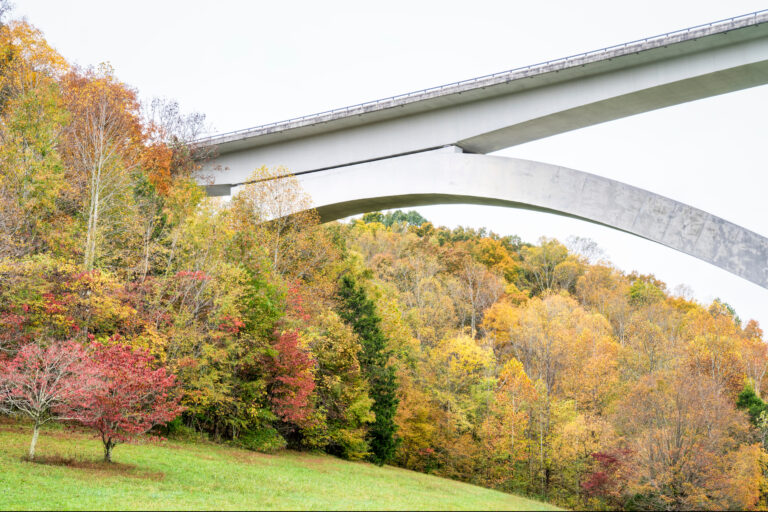 10 Ways to Experience Fall in Nashville’s Big Back Yard