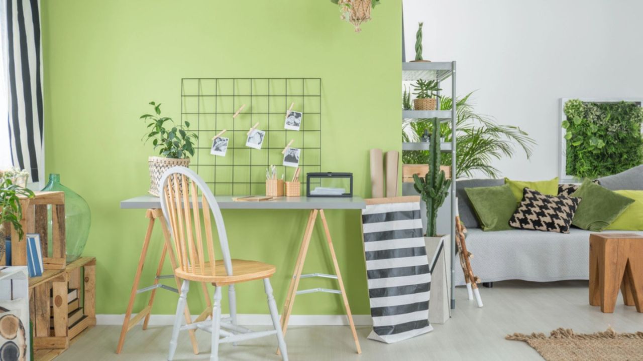 Room with green wall. Mint green