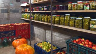 Cellar inside with vegetables and row of jars on shelves