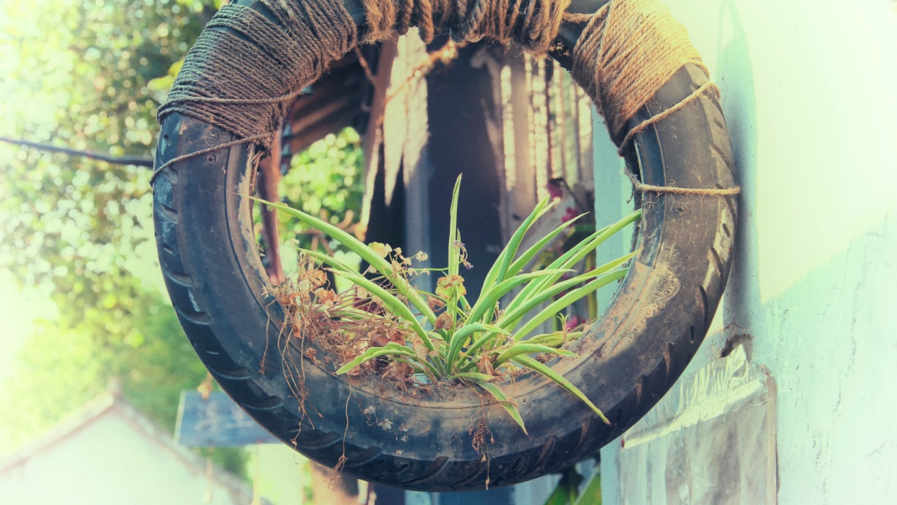 An old tire converted into a hanging plater with a spider plant inside within the Luzhi scenic area in Wuzhong China on a sunny day.