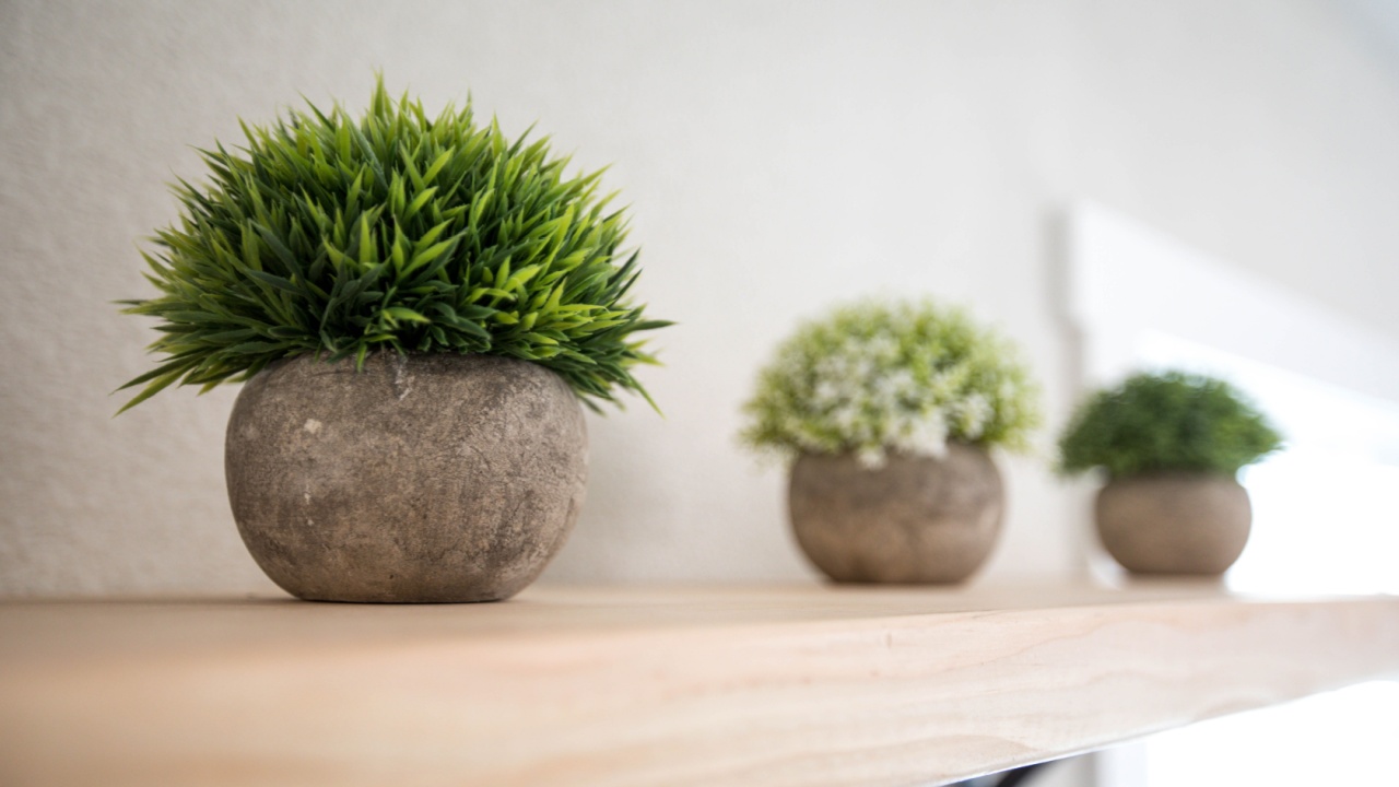 Faux plants in concrete pots on a wooden shelf indoors