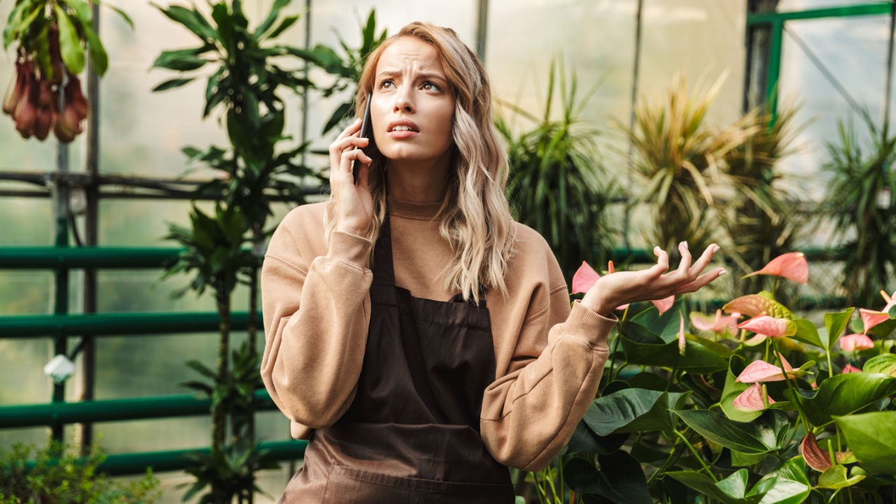 Image of beautiful confused sad gardener woman posing in the nature greenhouse garden talking by mobile phone.