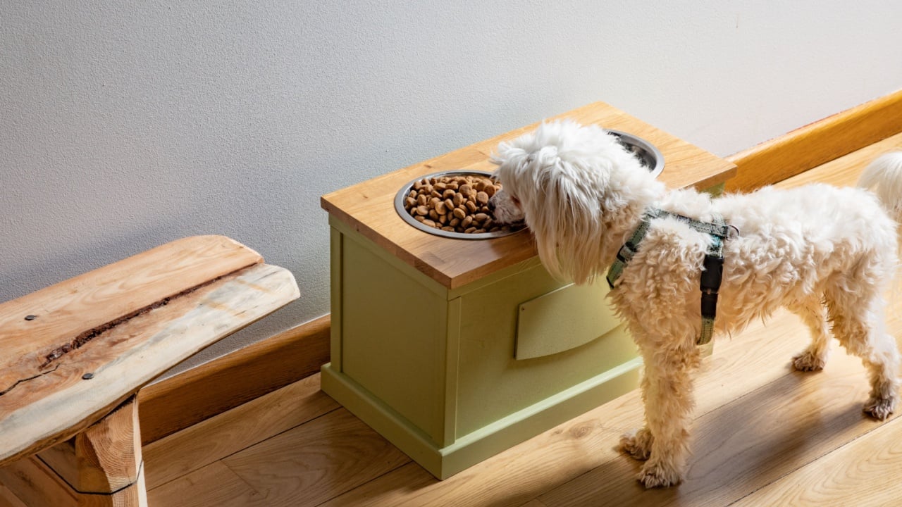 Handmade dog dining table