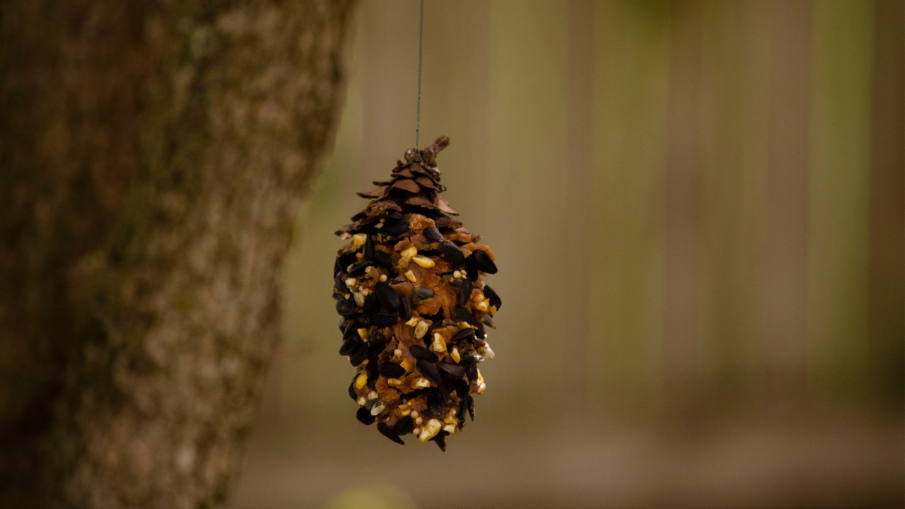 Peanut butter and birdseed pinecones DIY project with kids