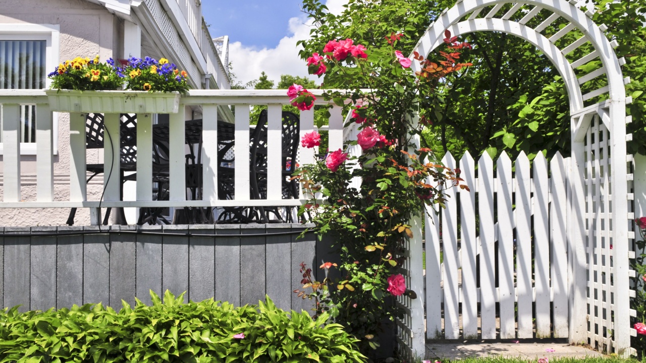 White arbor with red blooming roses in a garden