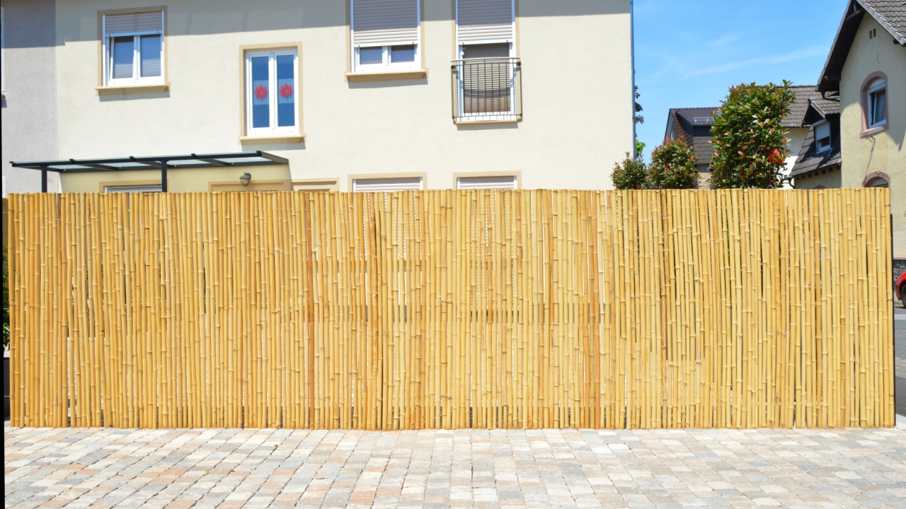 Privacy Fence of Bamboo Mats surrounding Yard of a residential Building