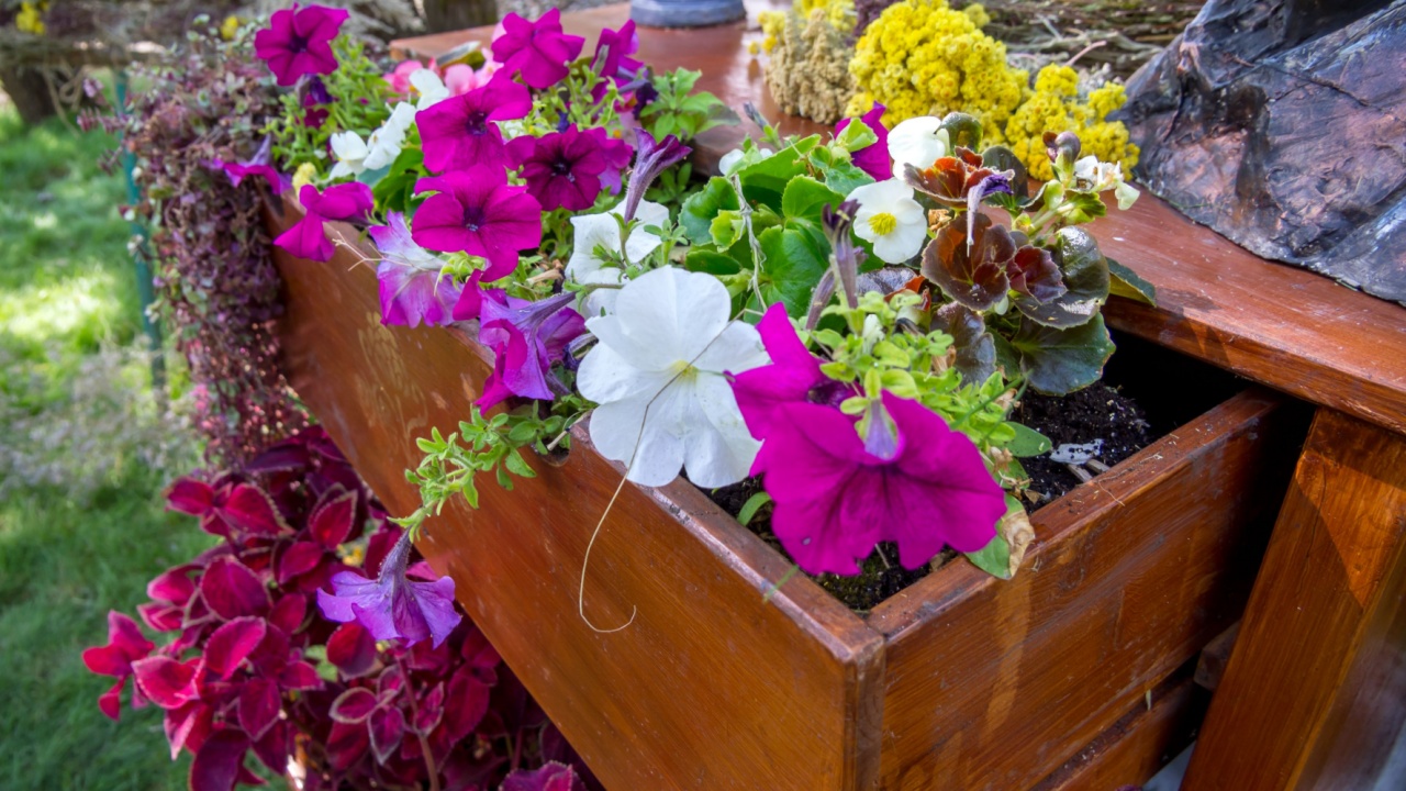 Flower bed from an old chest of drawers