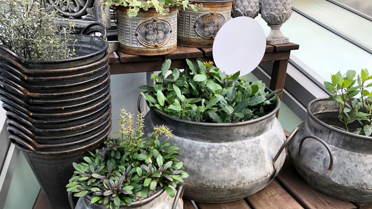 Collection of vintage metal planters with indoor plants on wooden table surface