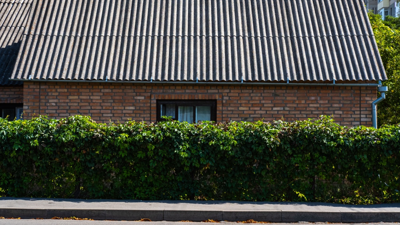 Decorative fence made of green bushes. Pruning a hedge.
