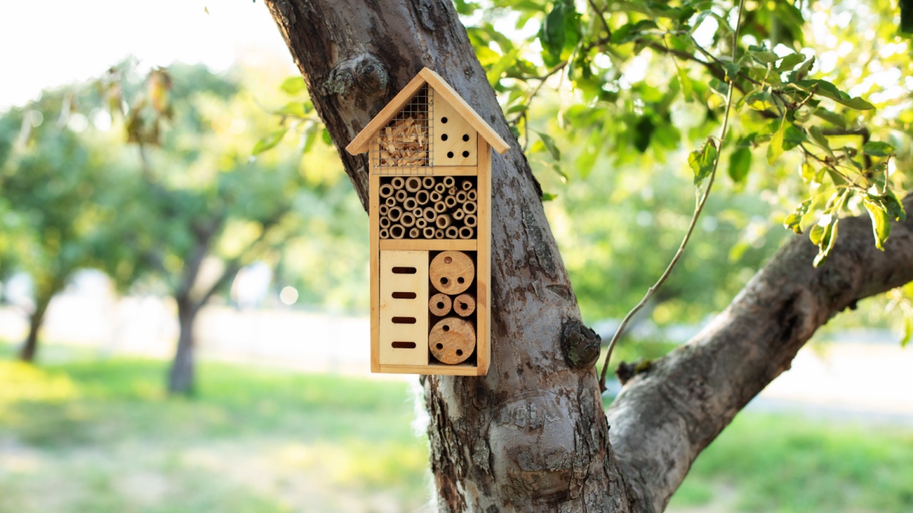 Decorative Insect house with compartments and natural components in a summer garden. Wooden insect house decorative bug hotel, ladybird and bee home for butterfly hibernation and ecological gardening.