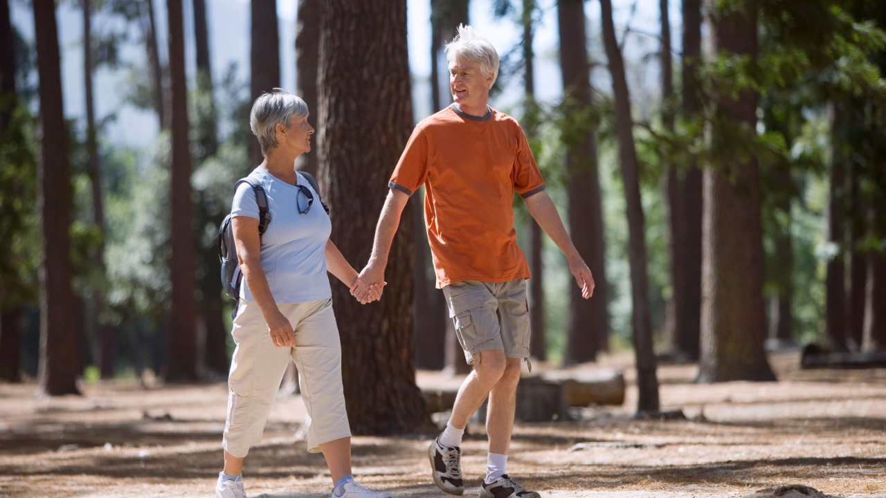 Horizontal full length portrait of an active senior couple walking in woods holding hands on a sunny day.