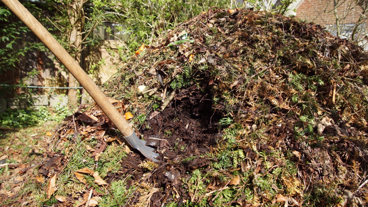 A garden shovel in the compost heap to dig up compost for the garden. Spring, April, Netherlands